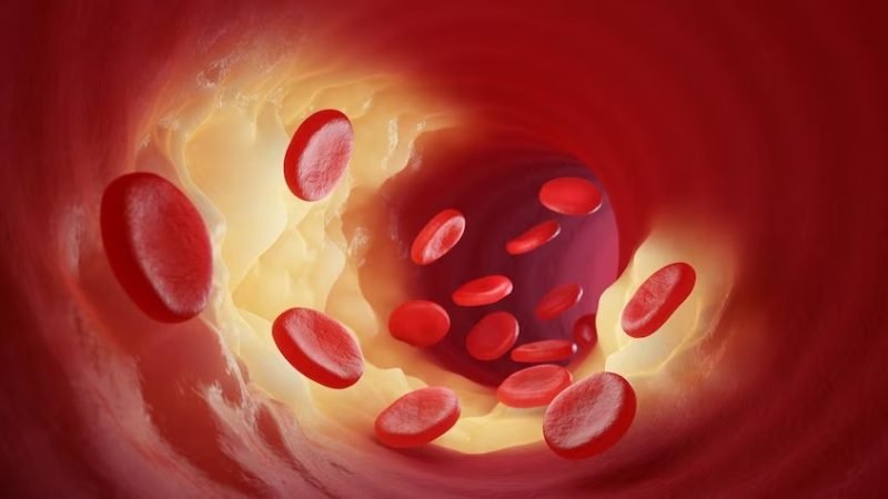 How Hyperbaric Oxygen Therapy Improves Blood Circulation